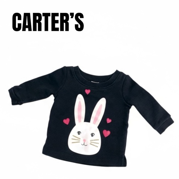 045 Carter’s Bunny Crew Neck Sweater - Picture 1 of 2